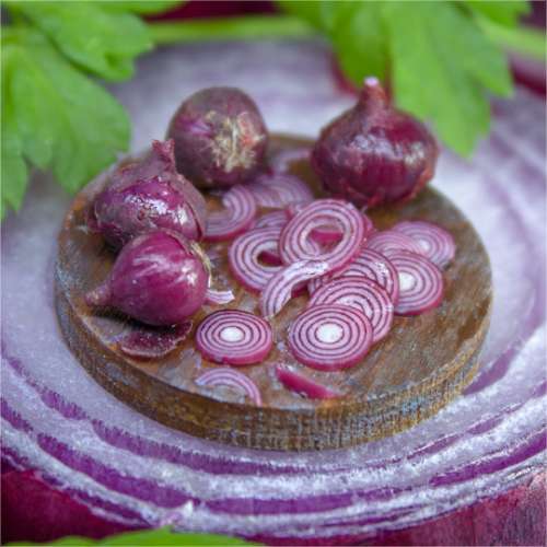 TUTORIAL Miniature red onion with polymer clay for 1:12 scale dollhouse | PDF + video