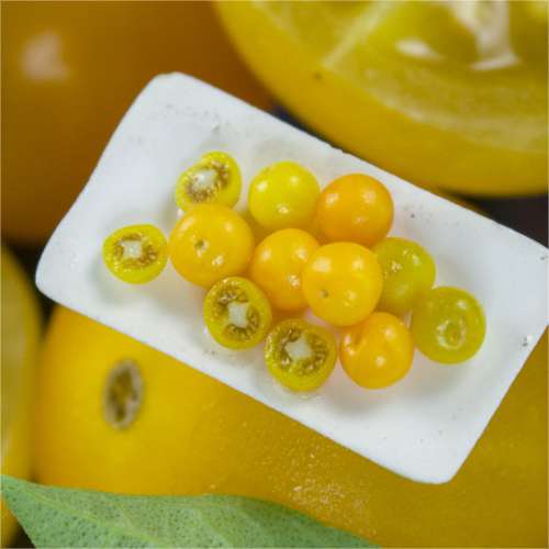 TUTORIAL Miniature yellow tomato cane with polymer clay for 1:12 scale dollhouse | PDF + video