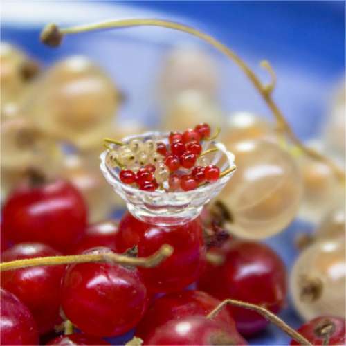 TUTORIAL Miniature red currants with polymer clay | PDF + video