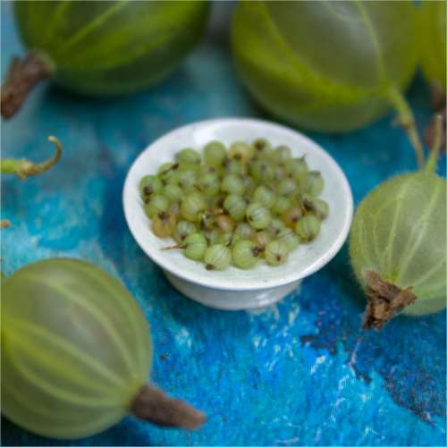 TUTORIAL Miniature gooseberries with polymer clay | PDF + video
