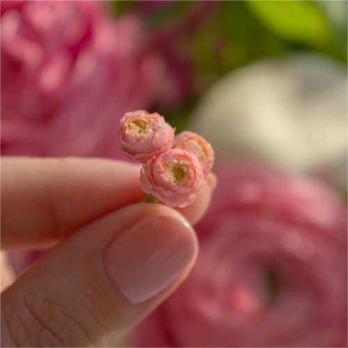TUTORIAL Miniature ranunculus with air dry clay | PDF + video