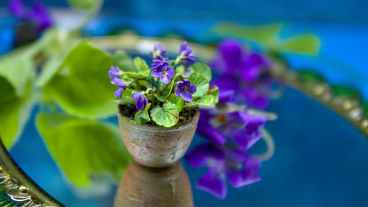 🌸 Spring in Miniature: Dollhouse Ideas, Decor & Seasonal Inspiration (1:12 Scale)