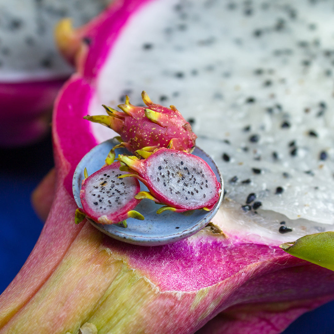 TUTORIAL Miniature pitaya or dragon fruit with polymer clay | PDF + video