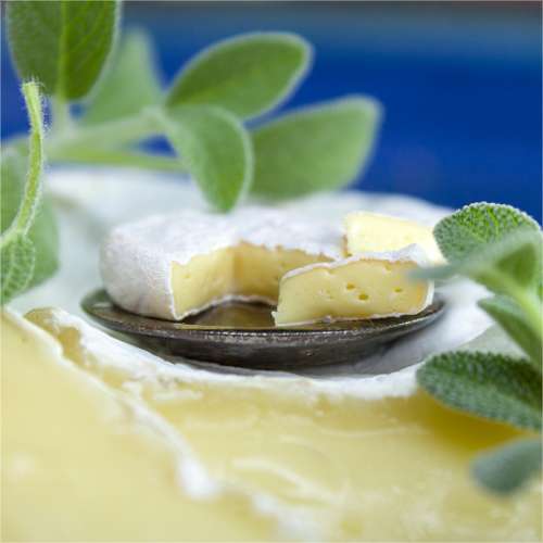 TUTORIAL Miniature Camembert cheese with polymer clay | PDF + video