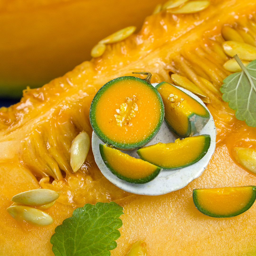 TUTORIAL Miniature cantaloupe with polymer clay | PDF + video