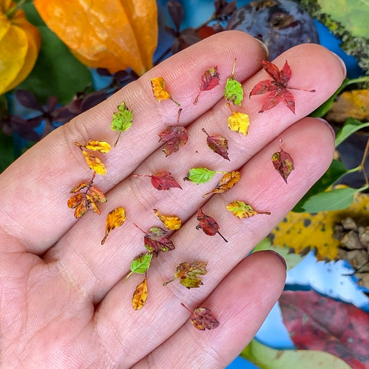 TUTORIAL Miniature autumn leaves with air dry clay | PDF + video