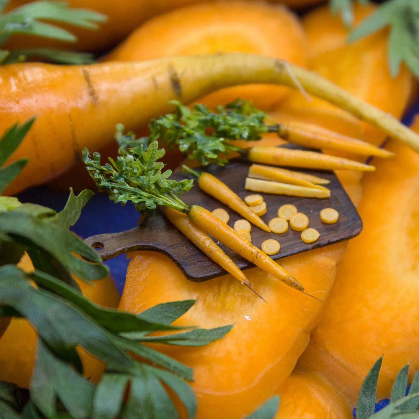 TUTORIAL Miniature carrot with polymer clay for 1:12 scale dollhouse | PDF + video