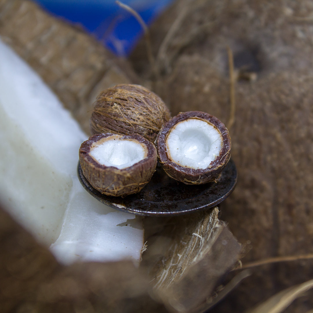 TUTORIAL Miniature coconut with polymer clay | PDF + video