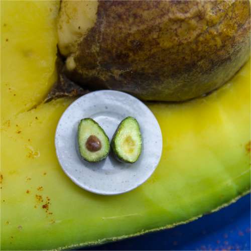 TUTORIAL Miniature avocado with polymer clay | PDF + video