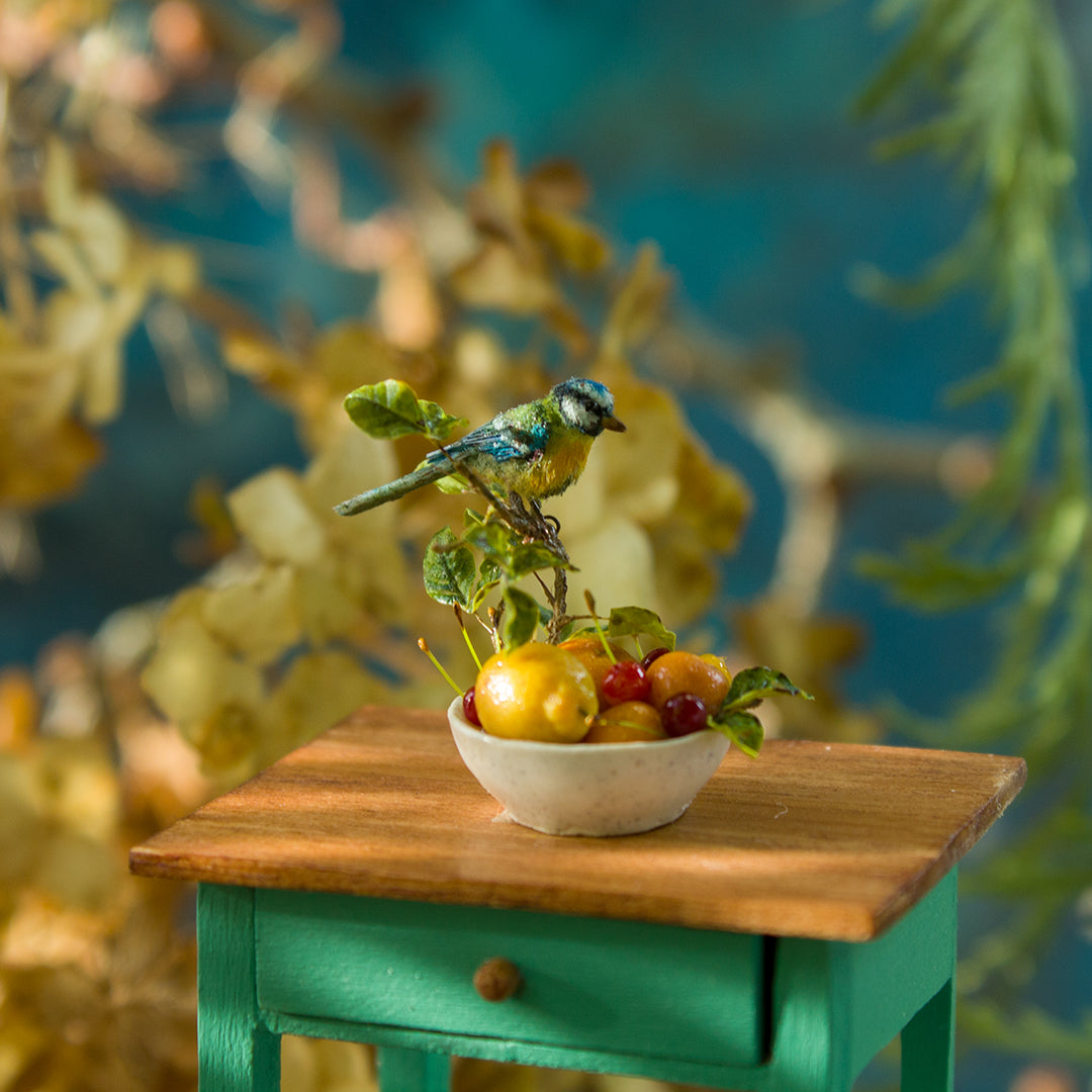 Miniature blue tit on a plate with fruits and berries for a dollhouse, scale 1:12. - Rina Vellichor