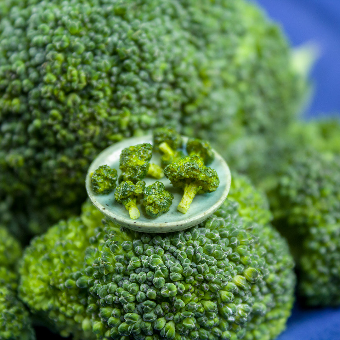 TUTORIAL Miniature broccoli with polymer clay | PDF + video