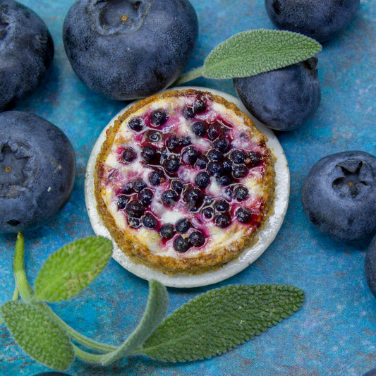 TUTORIAL Miniature blueberry cheesecake with polymer clay | PDF + video
