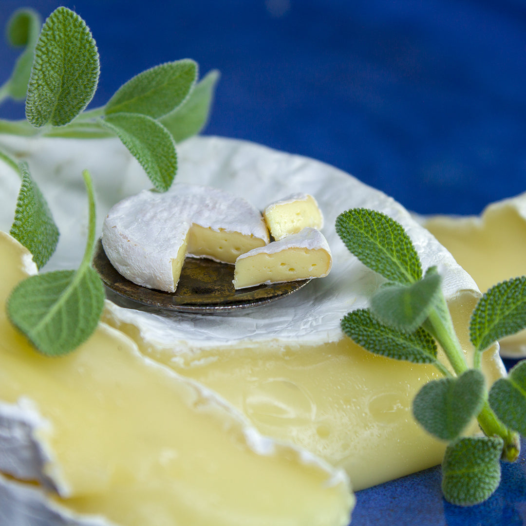 TUTORIAL Miniature Camembert cheese with polymer clay | PDF + video