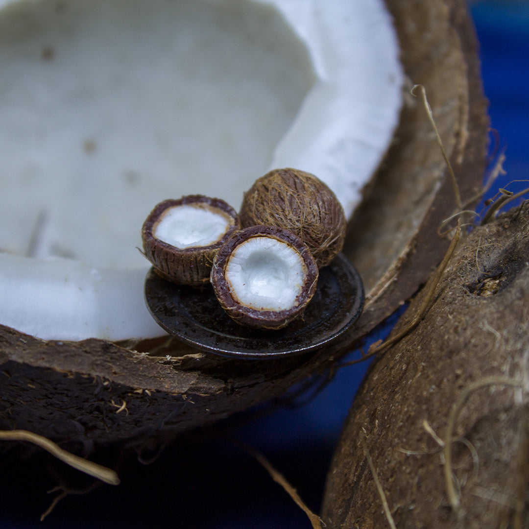 TUTORIAL Miniature coconut with polymer clay | PDF + video