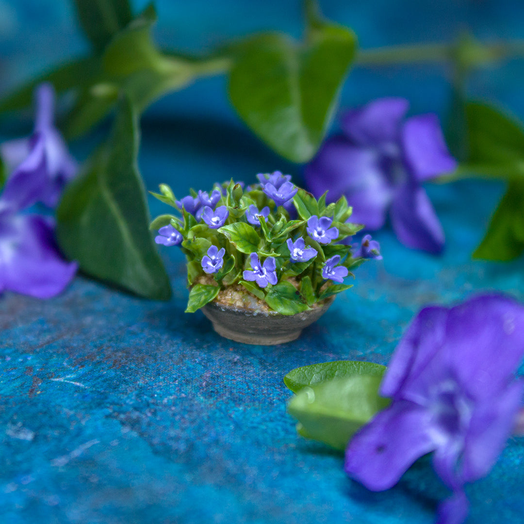 TUTORIAL Miniature periwinkle with air dry clay | PDF + video
