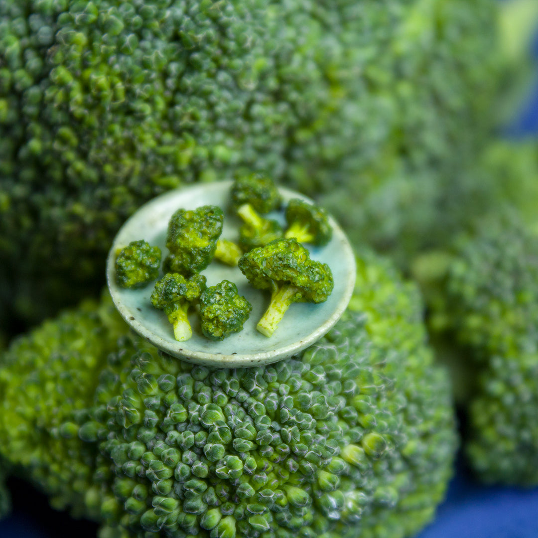 TUTORIAL Miniature broccoli with polymer clay | PDF + video