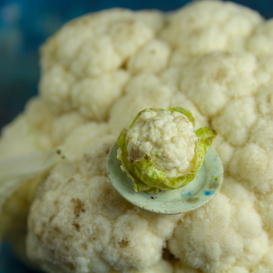 TUTORIAL Miniature cauliflower with polymer clay | PDF + video