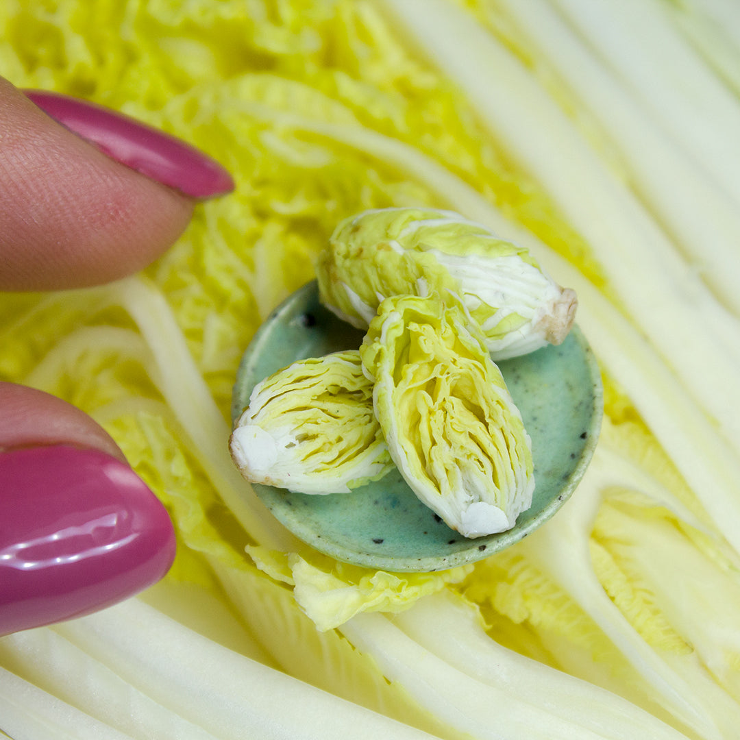 TUTORIAL Miniature napa cabbage with air dry clay | PDF + video