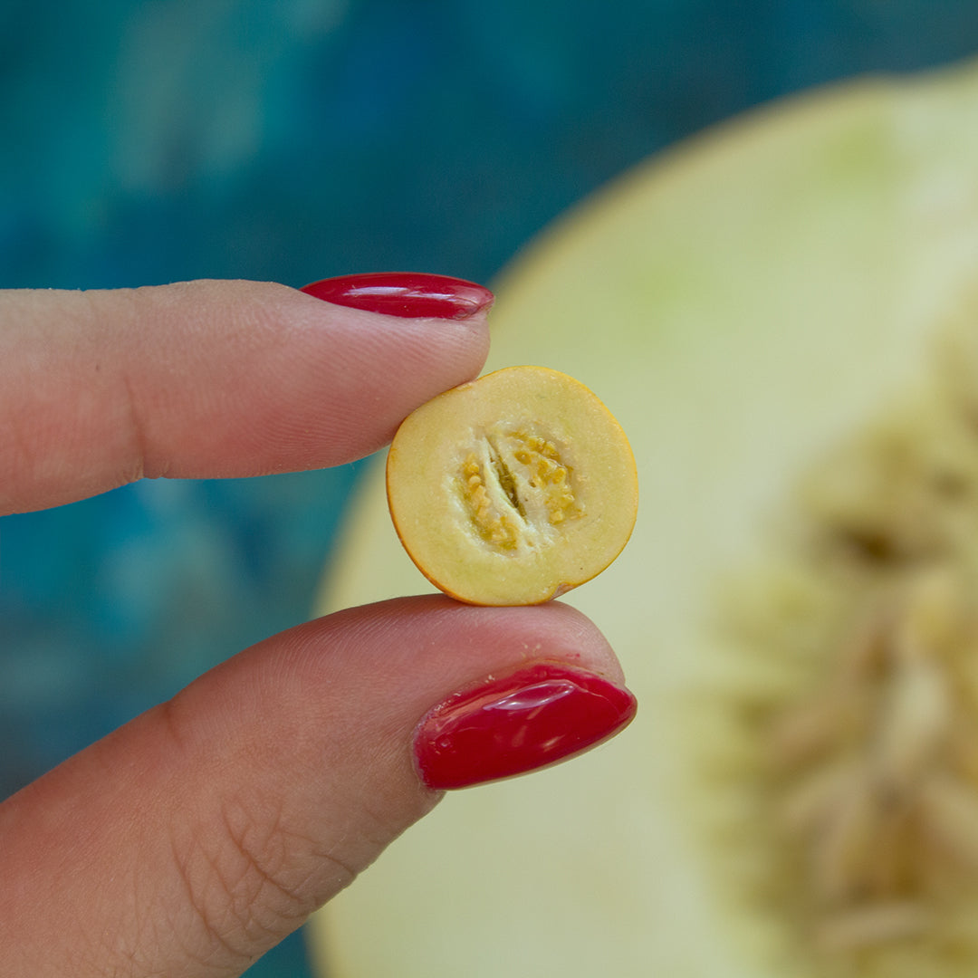 TUTORIAL Miniature melon with polymer clay | PDF + video