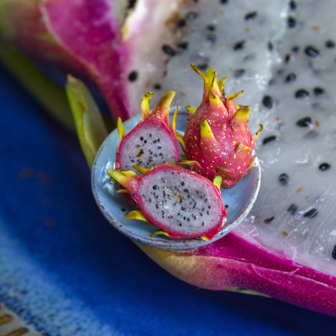 TUTORIAL Miniature pitaya or dragon fruit with polymer clay | PDF + video