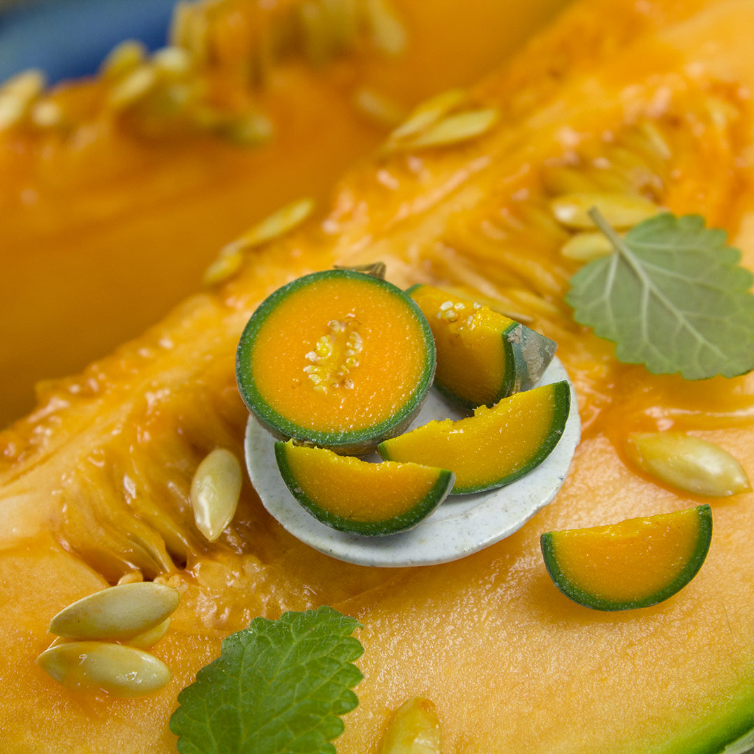 TUTORIAL Miniature cantaloupe with polymer clay | PDF + video