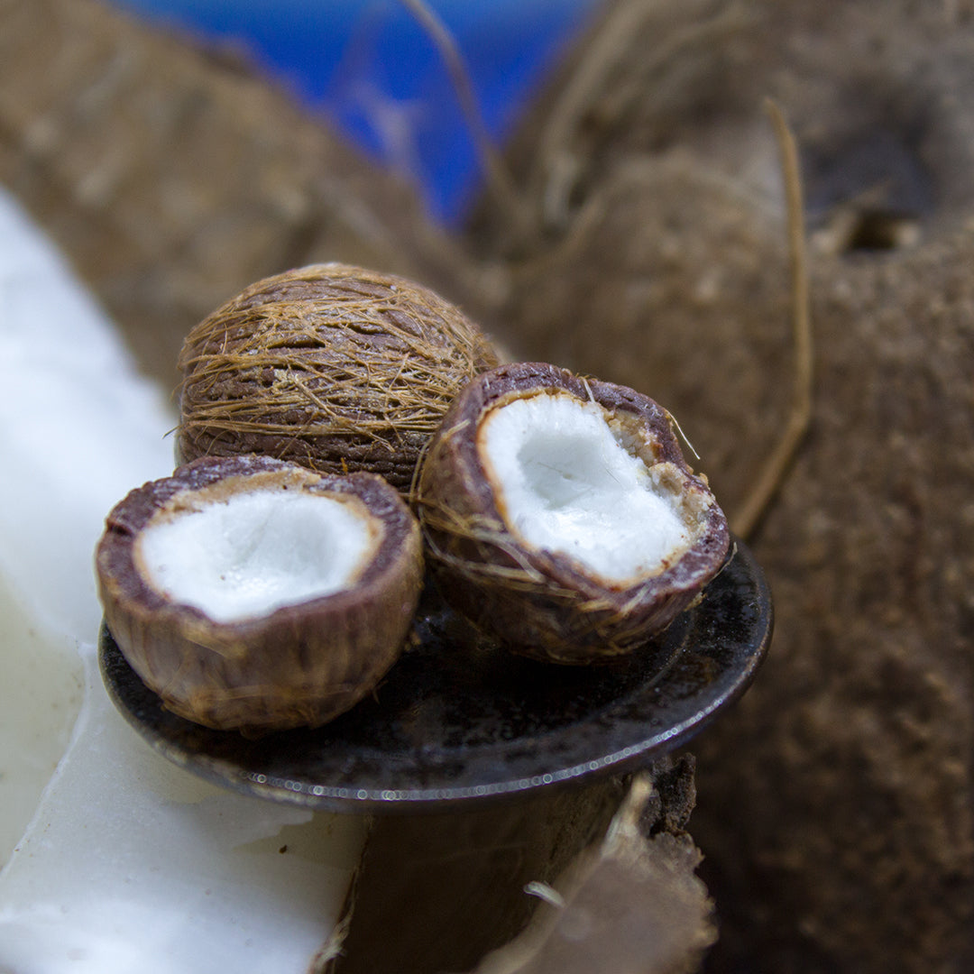 TUTORIAL Miniature coconut with polymer clay | PDF + video