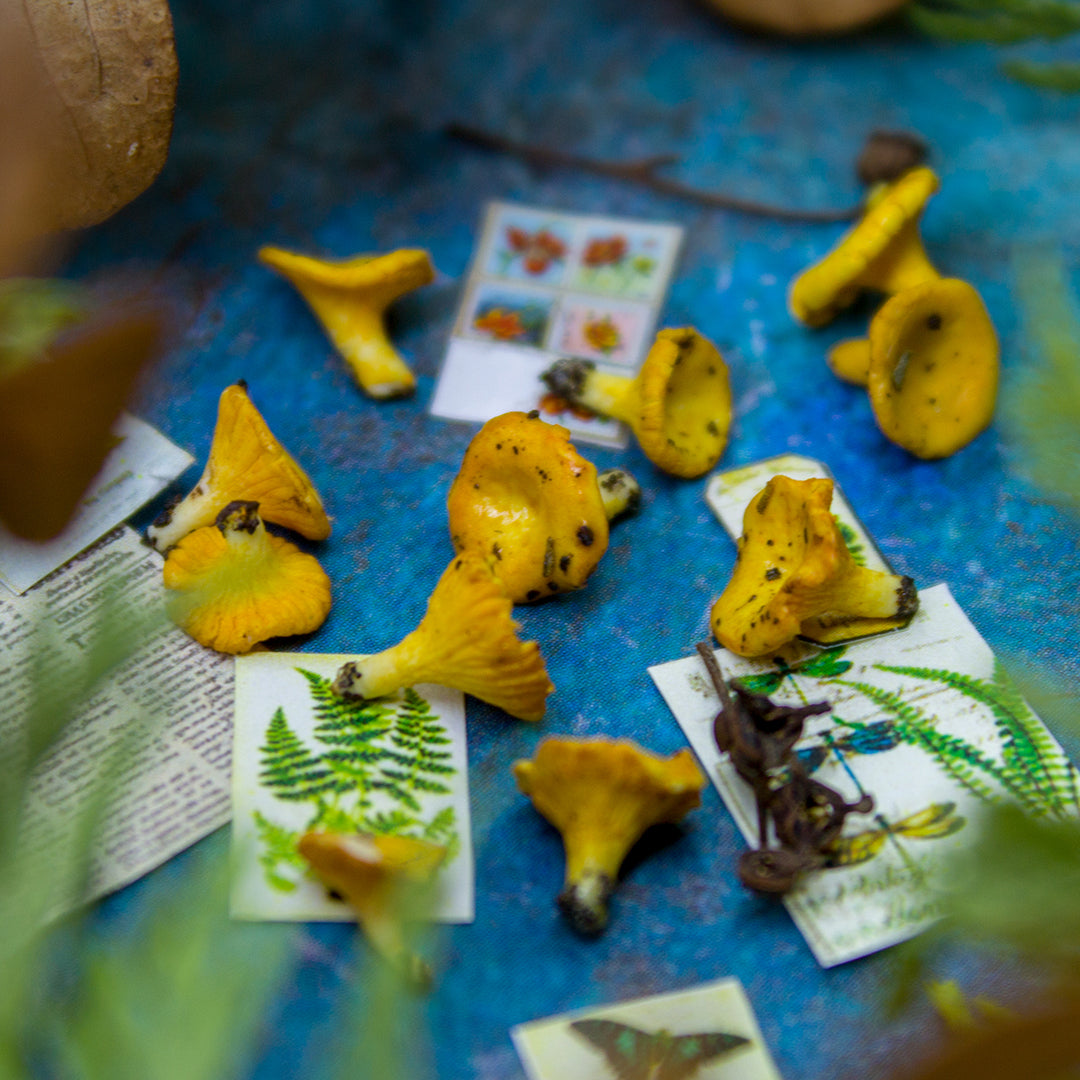 TUTORIAL Miniature chanterelle mushroom with polymer clay | PDF + video
