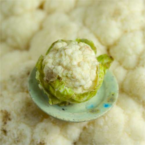 TUTORIAL Miniature cauliflower with polymer clay | PDF + video