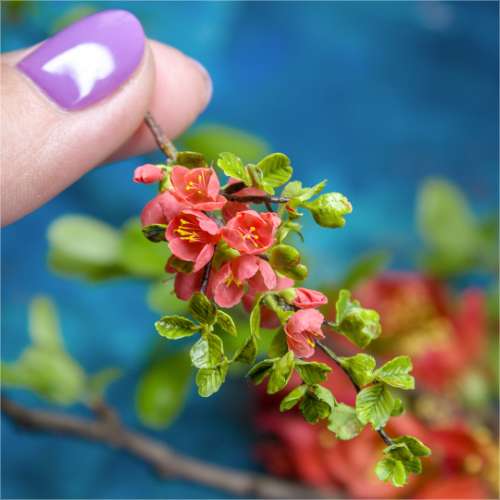 TUTORIAL Miniature branch of flowering quince with air dry clay | PDF + video