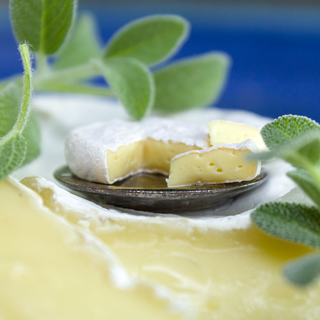 TUTORIAL Miniature Camembert cheese with polymer clay | PDF + video