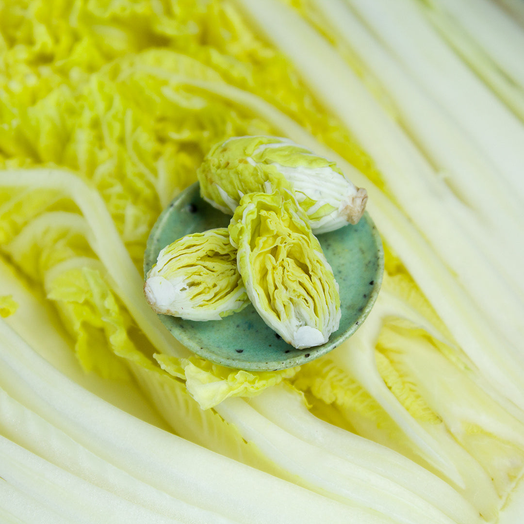 TUTORIAL Miniature napa cabbage with air dry clay | PDF + video