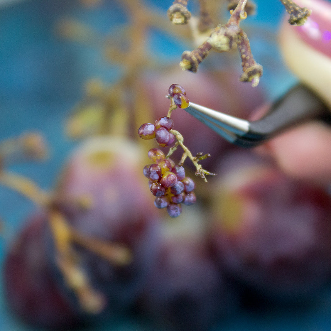 TUTORIAL Miniature red grape with polymer clay | PDF + video