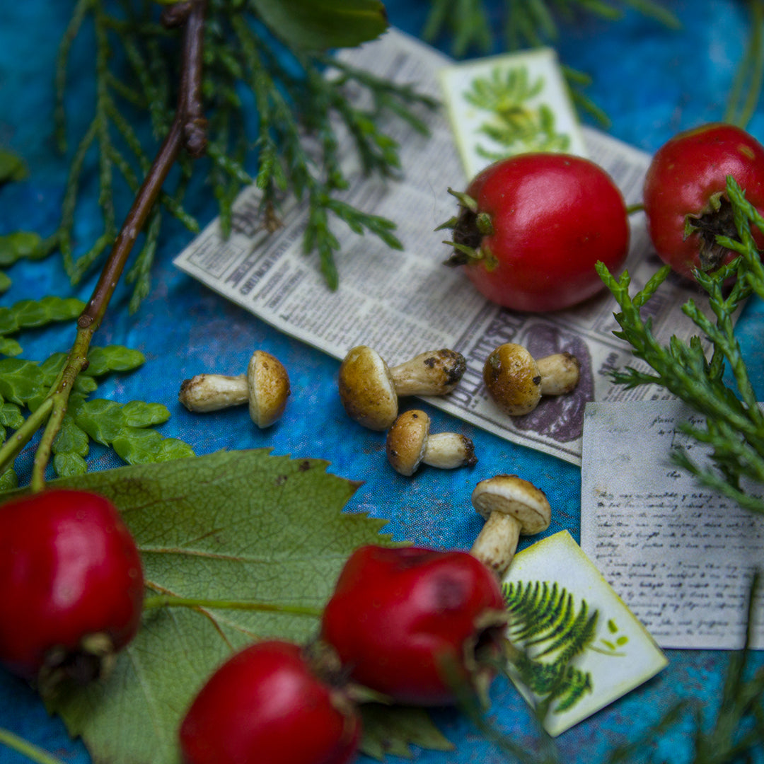 TUTORIAL Miniature porcini mushroom with polymer clay | PDF + video