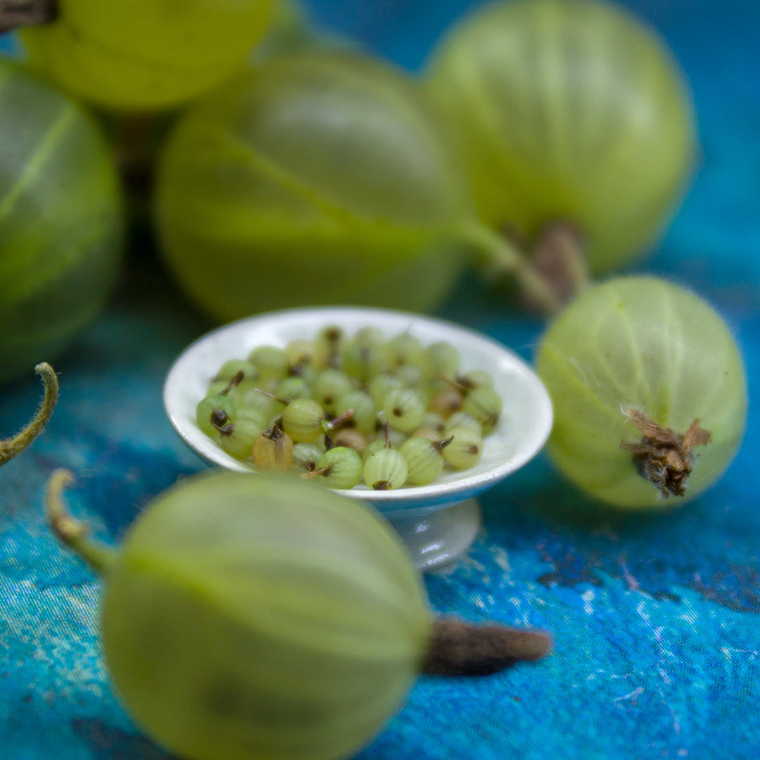 TUTORIAL Miniature gooseberries with polymer clay | PDF + video