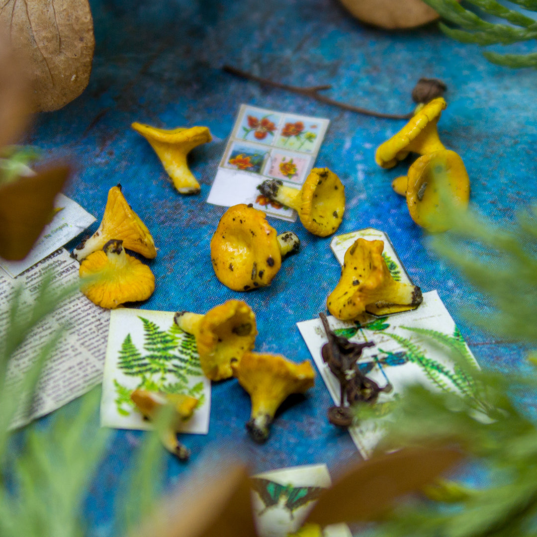 TUTORIAL Miniature chanterelle mushroom with polymer clay | PDF + video