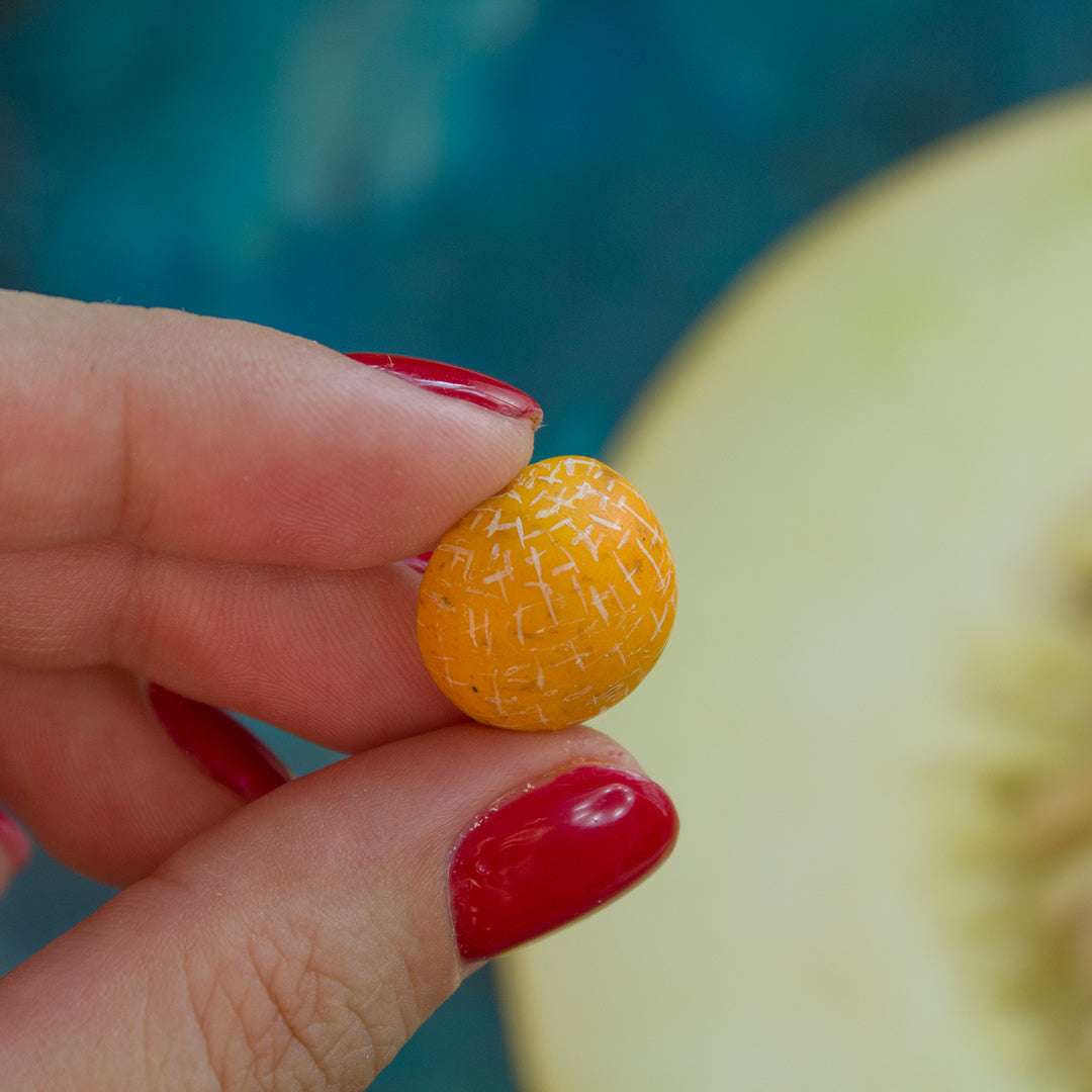 TUTORIAL Miniature melon with polymer clay | PDF + video