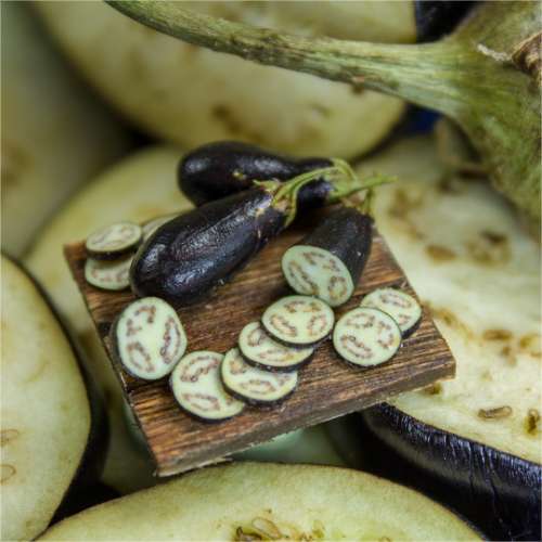TUTORIAL Miniature eggplant with polymer clay | PDF + video