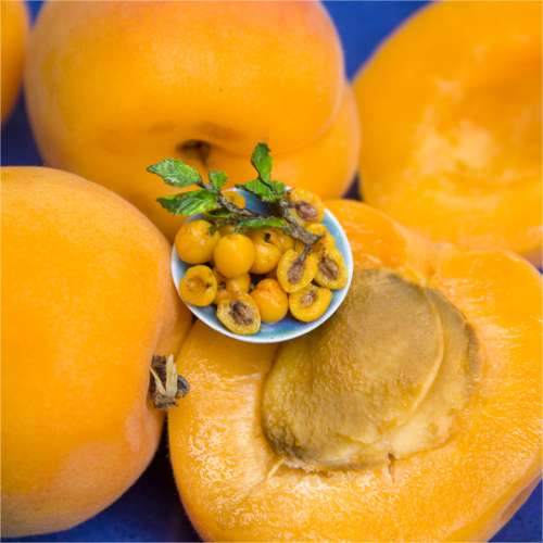 TUTORIAL Miniature apricot with polymer clay | PDF + video