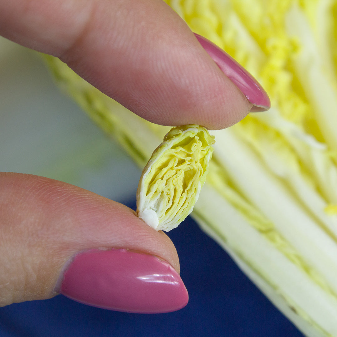 TUTORIAL Miniature napa cabbage with air dry clay | PDF + video