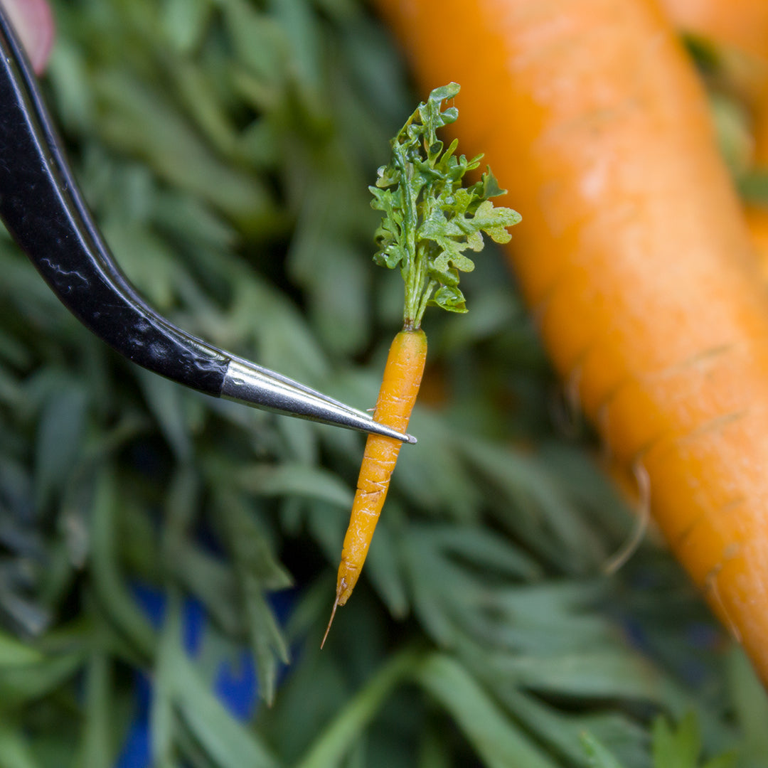 TUTORIAL Miniature carrot with polymer clay for 1:12 scale dollhouse | PDF + video