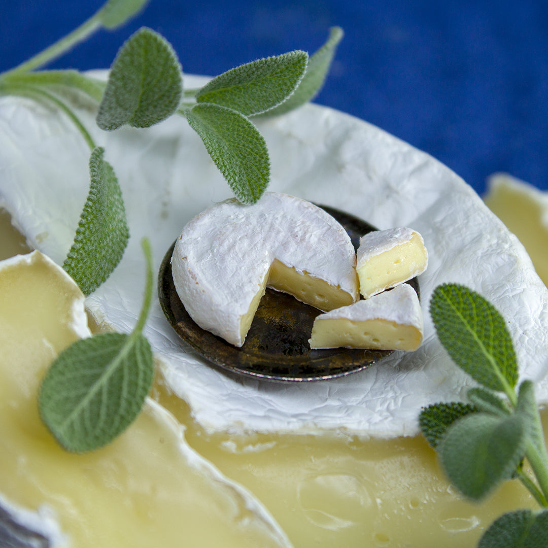 TUTORIAL Miniature Camembert cheese with polymer clay | PDF + video
