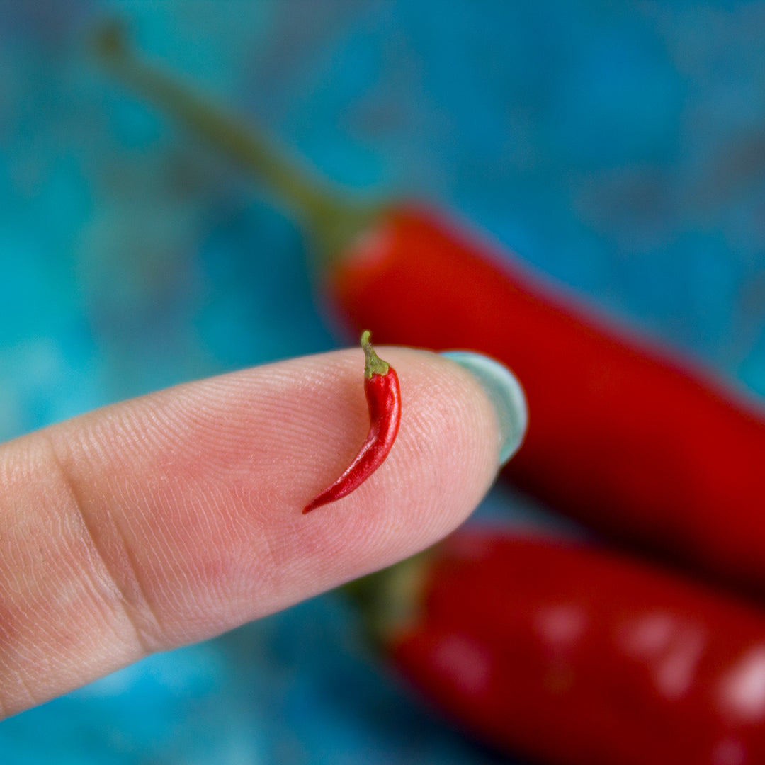 TUTORIAL miniature chili pepper with polymer clay | PDF + video