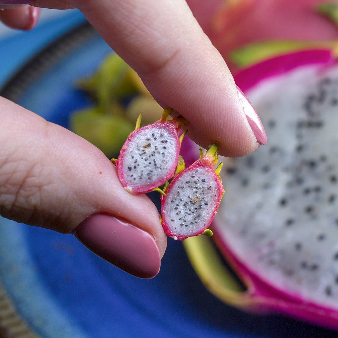 TUTORIAL Miniature pitaya or dragon fruit with polymer clay | PDF + video