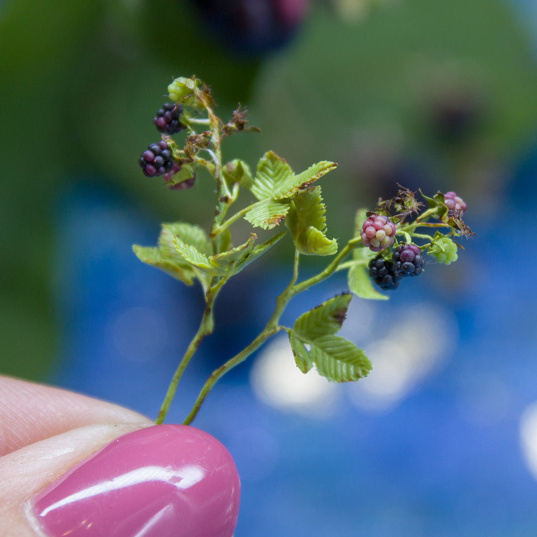 TUTORIAL Miniature blackberry branch with polymer clay for 1:12 scale dollhouse | PDF + video