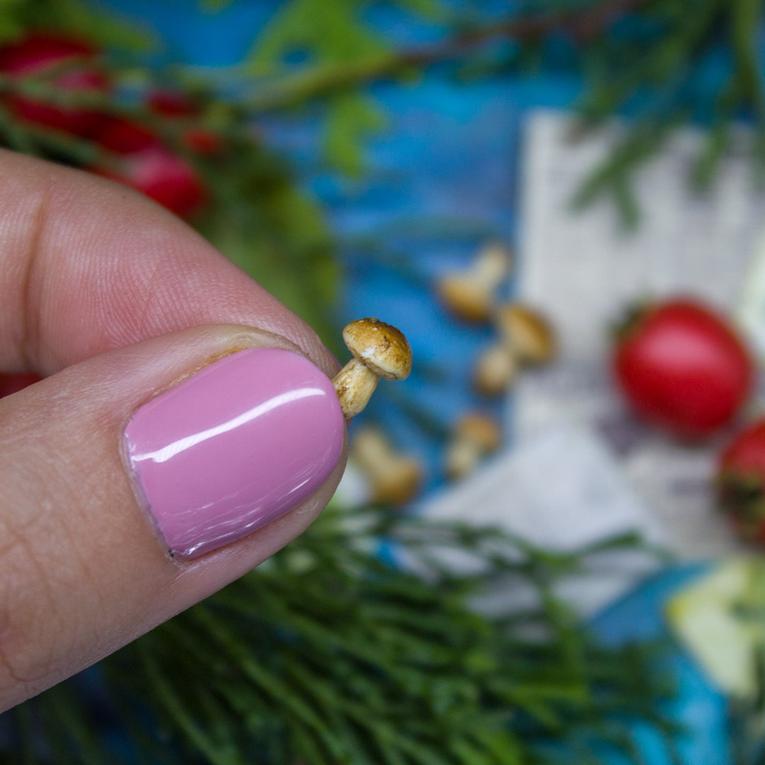 TUTORIAL Miniature porcini mushroom with polymer clay | PDF + video