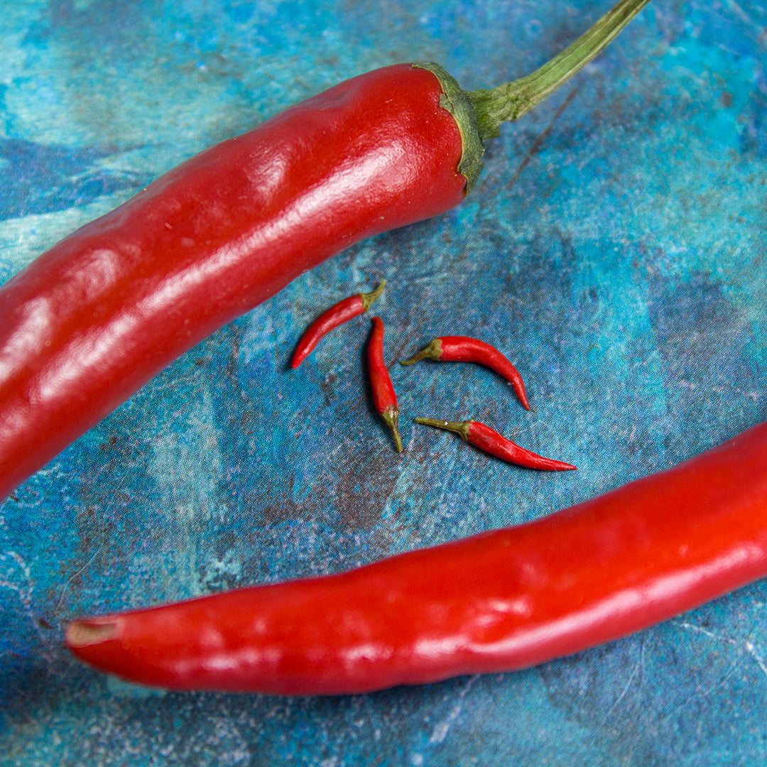 TUTORIAL miniature chili pepper with polymer clay | PDF + video