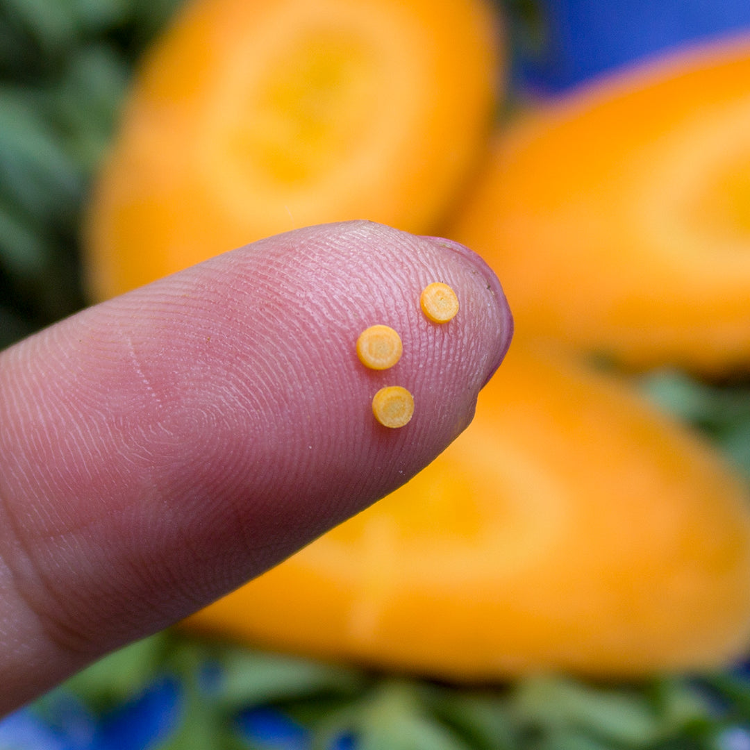 TUTORIAL Miniature carrot with polymer clay for 1:12 scale dollhouse | PDF + video