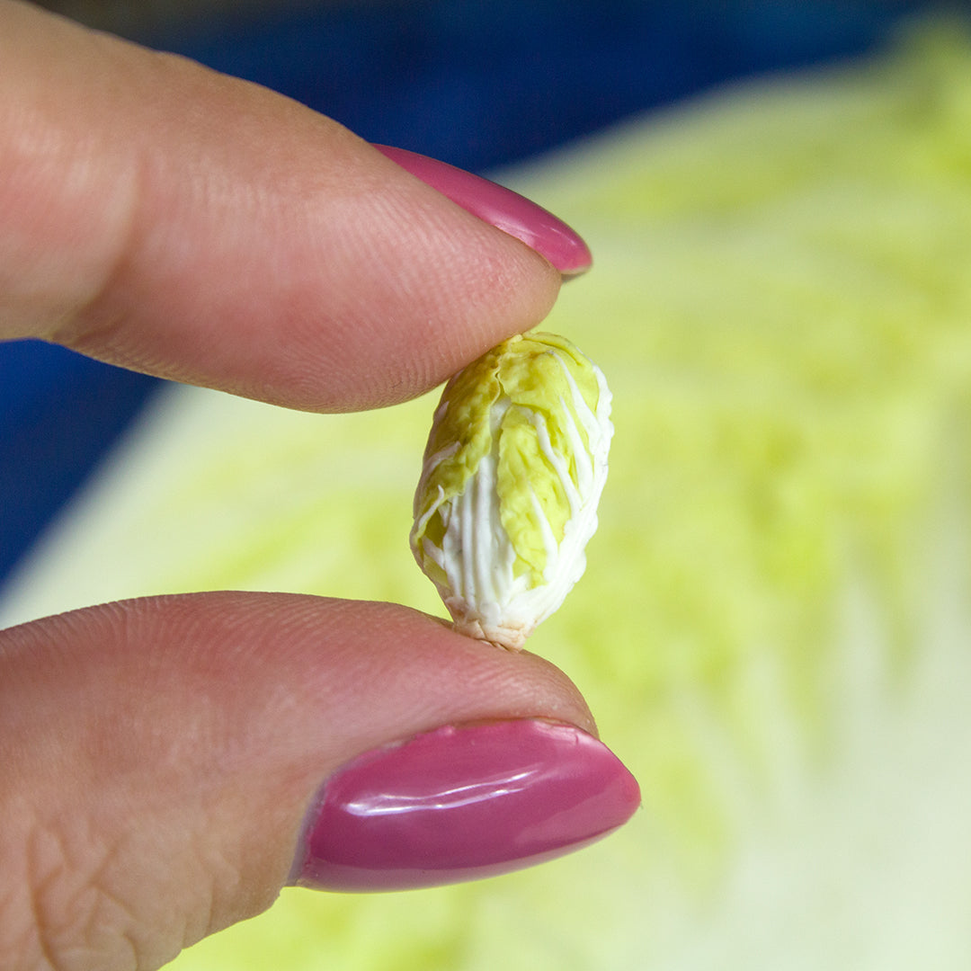 TUTORIAL Miniature napa cabbage with air dry clay | PDF + video