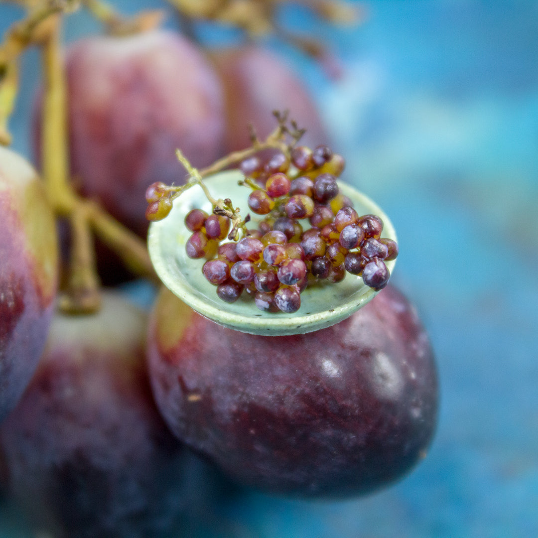 TUTORIAL Miniature red grape with polymer clay | PDF + video