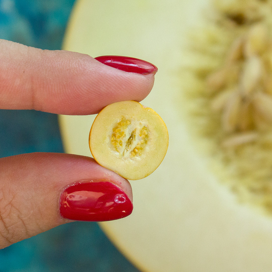 TUTORIAL Miniature melon with polymer clay | PDF + video